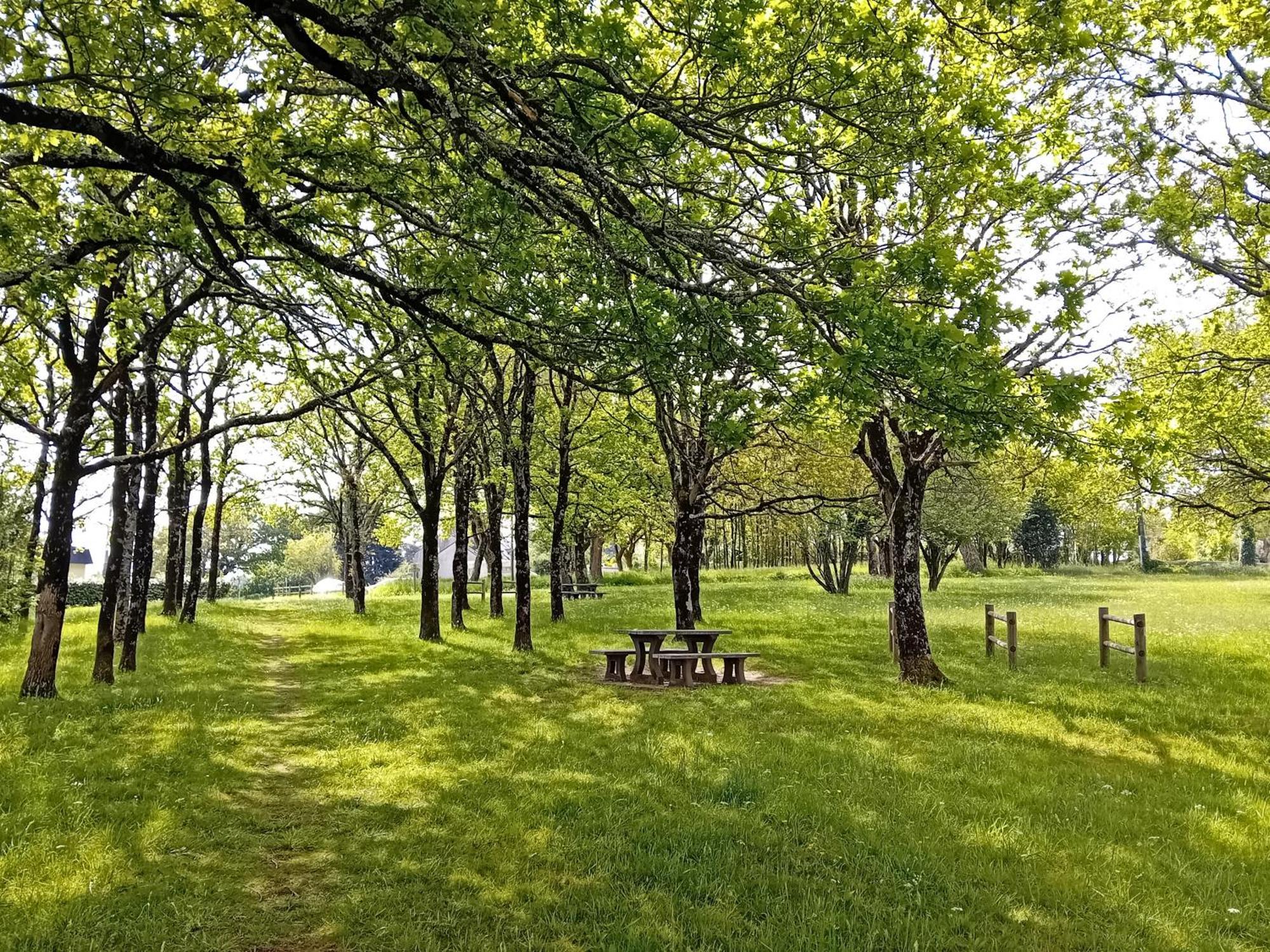 Ti Giz Breizh - Maison Bretonne Sur La Vilaine Camoël Exteriör bild